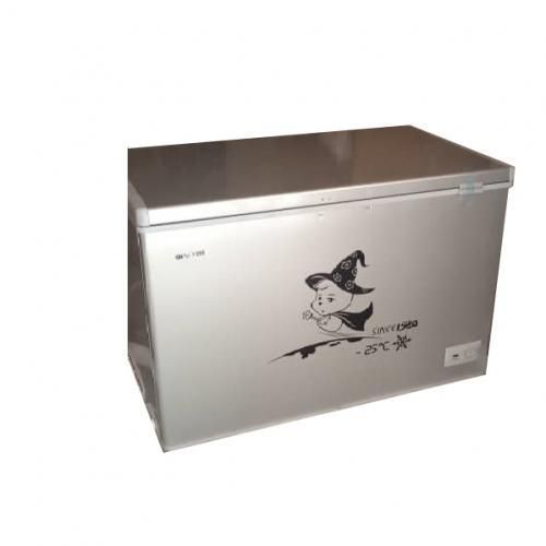 product_image_name-Snowsea-BIG ROOMY ENERGY SAVING CHEST FREEZER BD-450 (400Ltr)-2