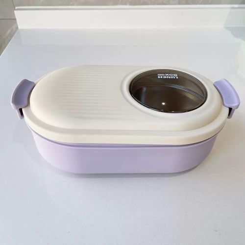 Generic Lunch box (24hrs hotness)