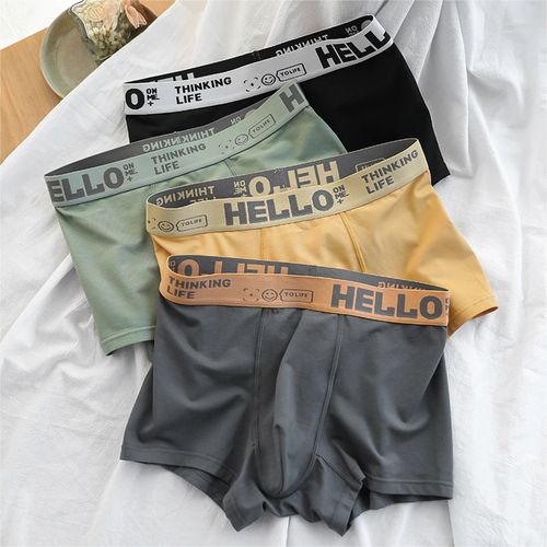 4 PCS Cotton Boxer Panties For Women Antibacterial Underwear