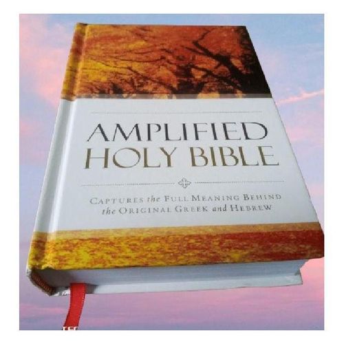 Generic Amplified Bible Compact Size ,References, Double-Column, Bible Text, Footnotes By Zondervan - image 2