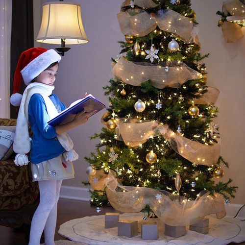 product_image_name-Generic-26cm 10 Yards Flower Wreath Mesh Diy Gold Silver Xmas Tree Ribbon Decoration Wedding Wrapping Ribbon-4