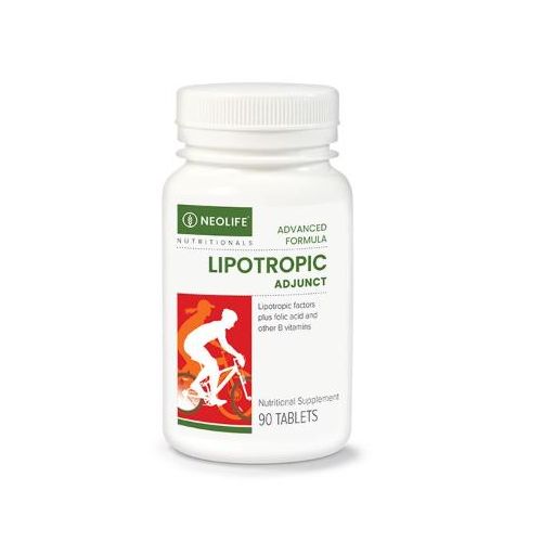 Healthy me Lipotropic Adjunct Tablets – Fat Metabolism & Nutritional Support (90 Tablets) - image 2