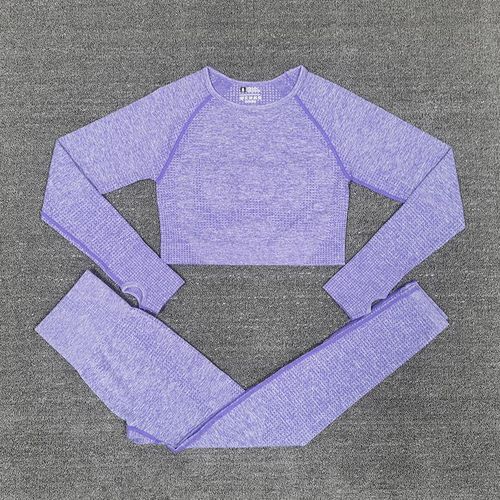 las mujeres Gym Yoga conjunto Fitness deportes trajes ropa de gimnasio Top  corto de manga larga