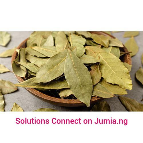 Fashion bay leaves