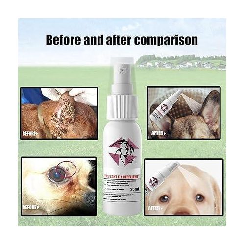 product_image_name-Generic-Mite Removal Spray, Lice, Tick Remover, Pet Anti Itch Spray, Itch Treatment for Dogs, Cats and All Pets Effective Fleas Remover, Pet Flea Eggs Repellent Spray -  Pet Insect Repellent Spray Flea Repellent Cat Dog In Vitro Lice Tick Stop Itch Spray 25ml-4