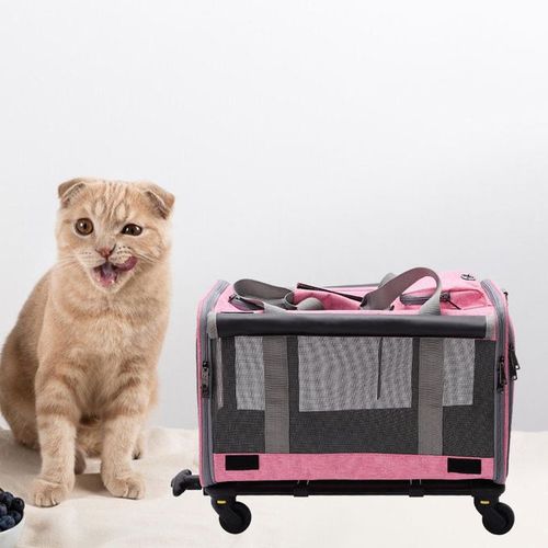 Amazon.com : kathson Rabbit Travel Carrier Bag Airline Approved Pet Pocket  Breathable Mesh Window Portable Hand Bag with Locking Safety Zippers for  Small Dogs Cats Bunnies and Small Animals (Grey) : Pet