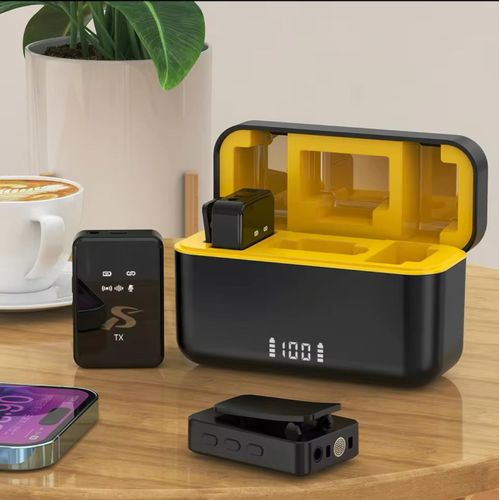 product_image_name-Generic-Wireless mic microphone -1