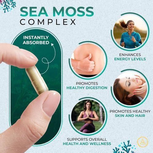 YOGIC Herbal Supplements  Sea Moss Complex 10-1 60 Capsules - image 4