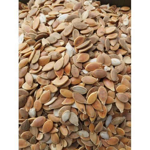 Generic Organic Brown Pumpkin Seed - 100g