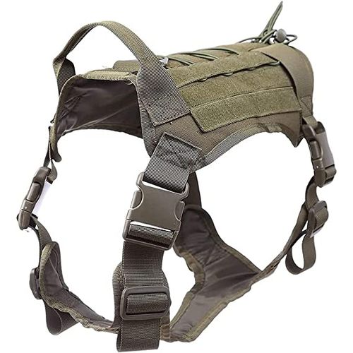 Army dog deals harness