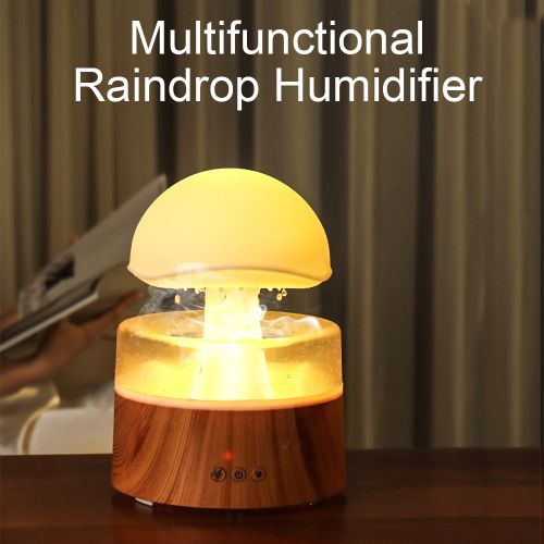  Rain Cloud Humidifier Water Drip, 2 in 1 Humidifier