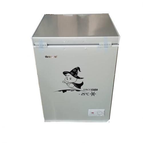product_image_name-Snowsea-CHEST FREEZER-BD-108- GREY, SLIVER-1