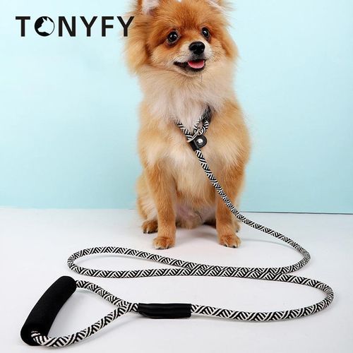 Slip leads for small dogs outlet