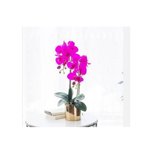 Generic Pink Phalaenopsis Orchid With Gold Pot - 60cm