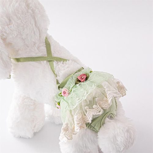 Generic Cute Lace Female Pet Physiological Pants For Small Dogs Cats Anti Harassment Male Dog Safety Menstrual Pant Mascotas Accessories Green Lace Jumia Nigeria