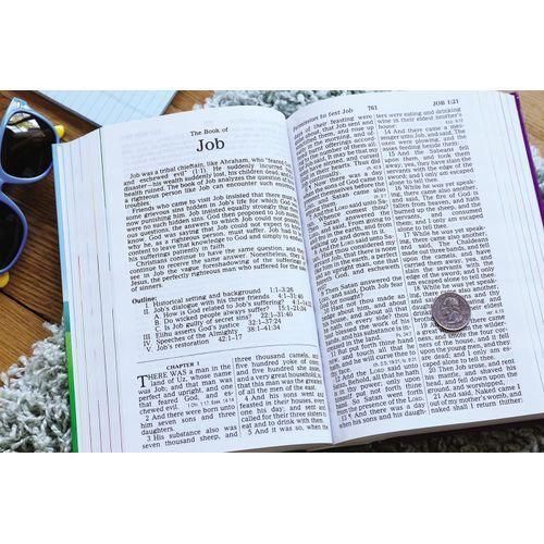 product_image_name-Generic-KJV The Beginner's Bible Timeless Children's Bible Stories-6