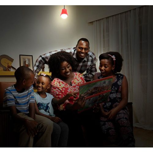 product_image_name-d.light-Solar D200 lighting system with solar panel, charges phone-8