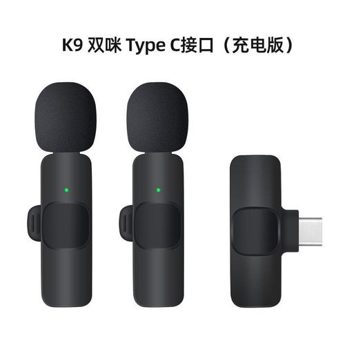 product_image_name-Generic-Dual Wireless Content Microphone with Type-C Adapter-1