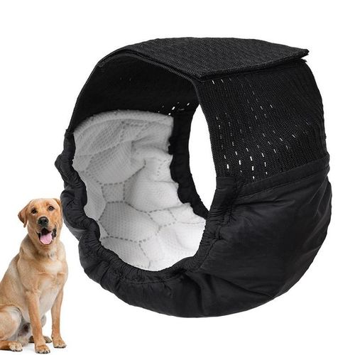 Male dog incontinence pants online