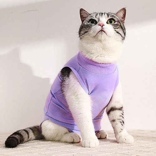 Cat apparel store online