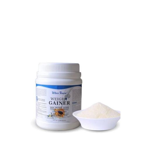 product_image_name-Wins Town-Weight Gainer powder - 1lb (450g) -1