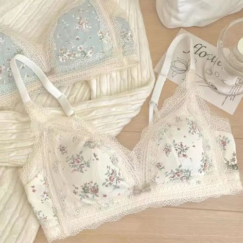 Generic Women's Lace Bra Without Steel Ring Girls' Underwear Gathered  French Style Rear Garden Everyday Push Up Print Sensual Lingerie