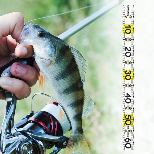 Fish Measuring Tape, Accurate Fish Ruler Waterproof Marine Fishing  Measuring Tool Adhesive For Kayak 