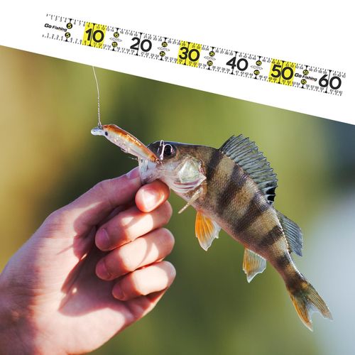 Generic Foldable Fishing Ruler Fish Measuring Tool For Boat White