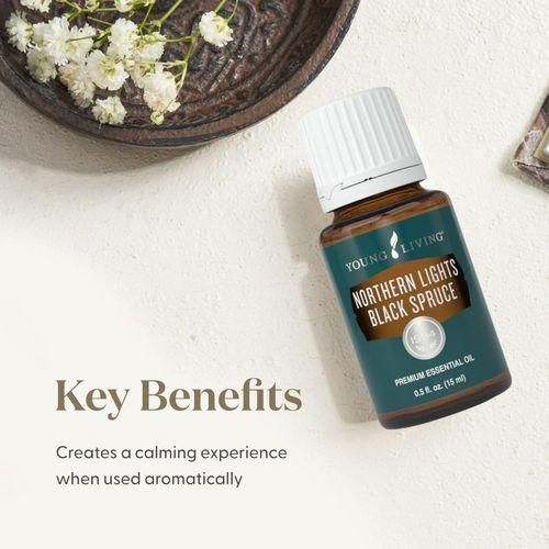 Young Living Northern Lights Black Spruce Essential Oil 5ml - image 3