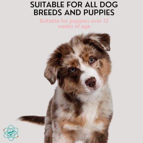 product_image_name-PET CARE Sciences-Pet Shampoo For Puppies 16oz Anti Itch-5