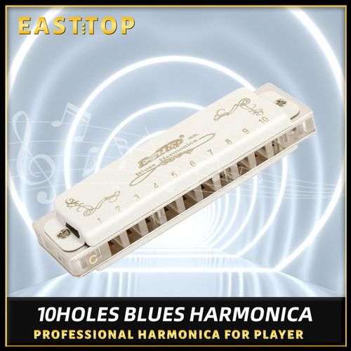 Generic 10 hole harmonica professional blues diatonic harmonica for beginner player Jumia Nigeria