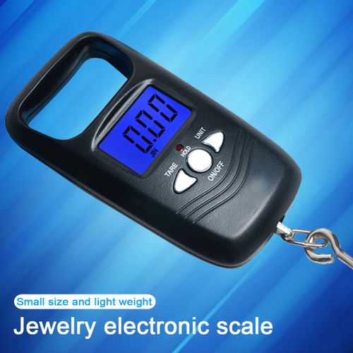 Aq General 50kg/10g Portable Digital Scale Mini Scale Digital Fishing