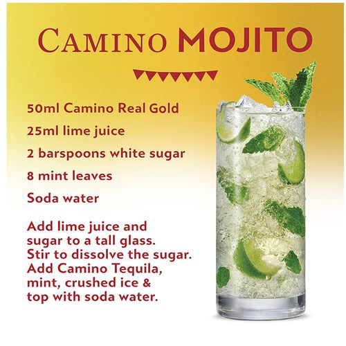 Camino Real Gold Tequila 75cl - image 6