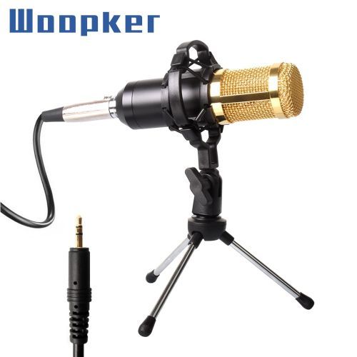 BM-800 Condenser Recording Microphone with Shock Mount 