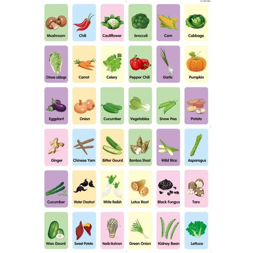 Genera Traffic Flash cards 36 pcs - image 4