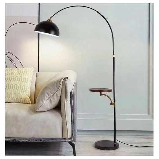 Modern Floor Led Standing Lamp