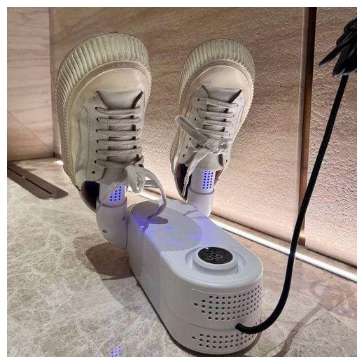 Shoe Island  FOLDABLE SHOE DRYER 