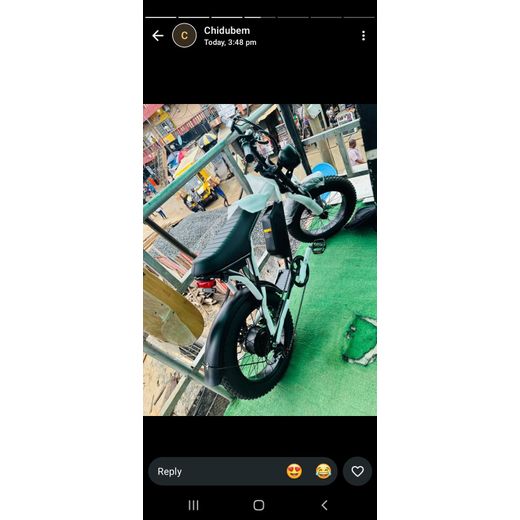 Quality Heavy-Duty All-Terrain Electric Bike (E-Bike)