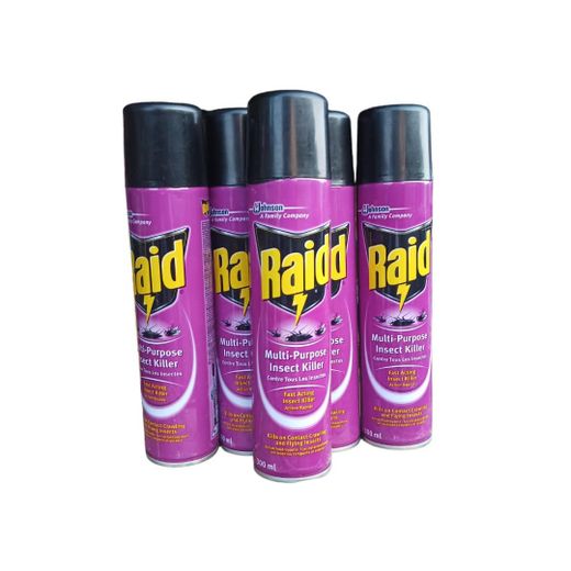 Raid Multipurpose Fast Acting Insect Killer 300ml (5 Pieces) - image 2
