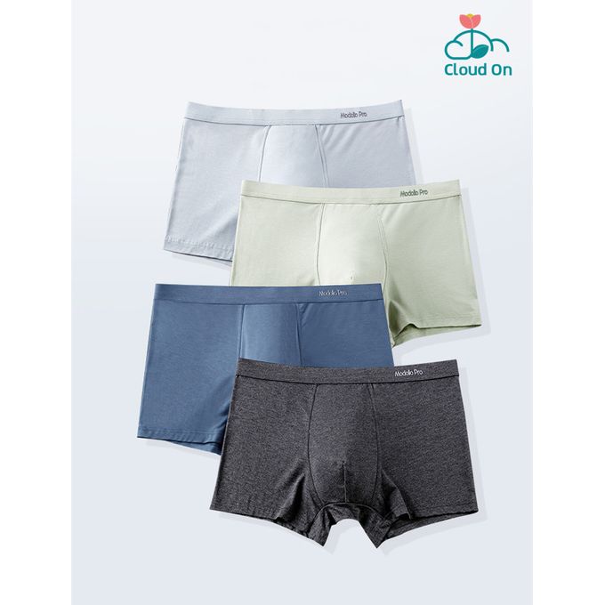 Cloudoon Men's Moisture Wicking Underwear Breathable Underpanties Boxer  Briefs-4pcs