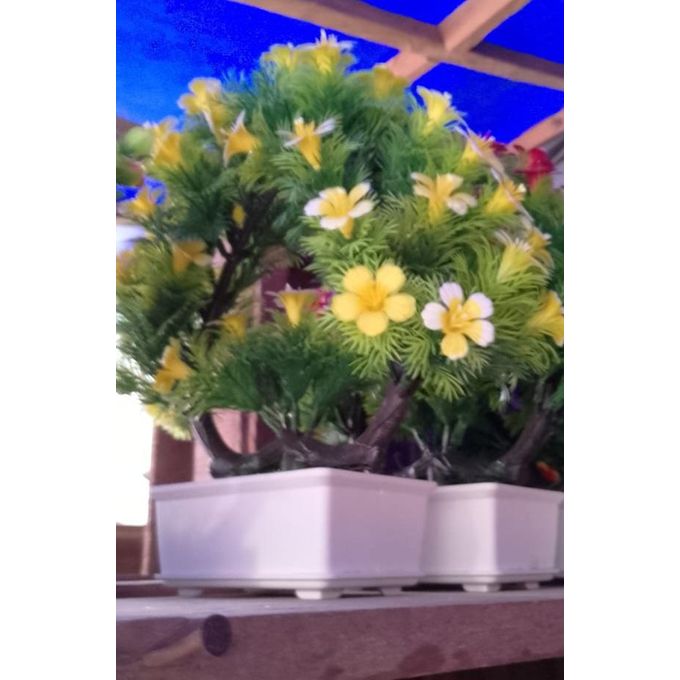 Potted Decor