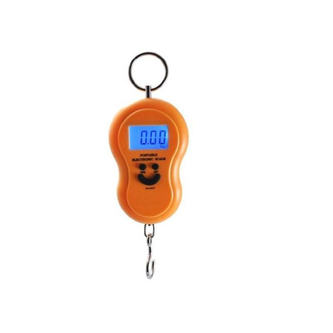 Portable Electric Digital Hanging Scale - Ideal for Fishing, Luggage, and  More - Max Measuring Bearing of 40kg - Easy to Use with LCD Display and