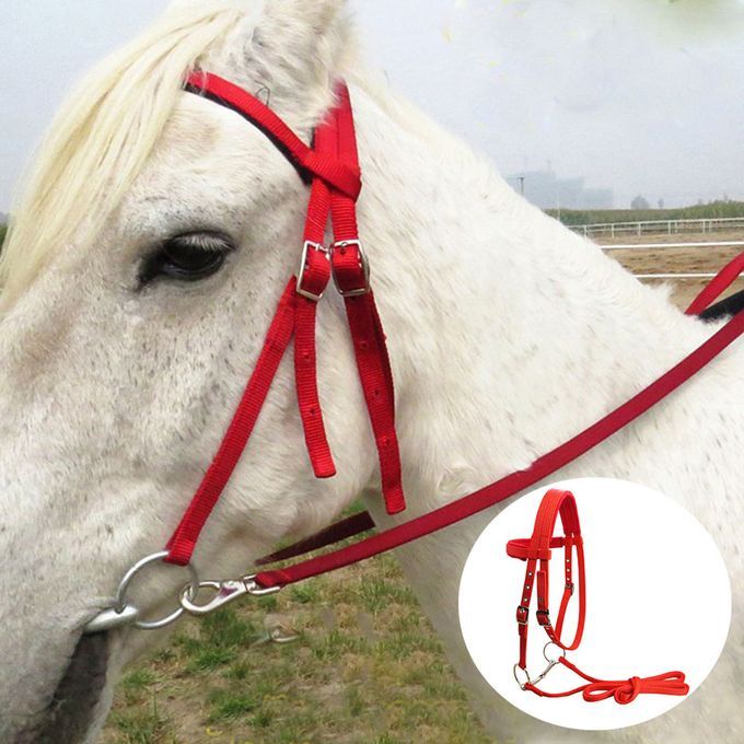  Horse Bridle,Adjustable Horse Bridle Rein Harness Headstalls  Durable Wearresisting Metal Inlay Decoration（White） : Pet Supplies