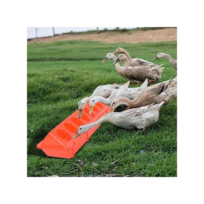 product_image_name-Generic-Flip Top Poultry Feeder Bird Feed Trough Water Drinker Waterer Box For-5