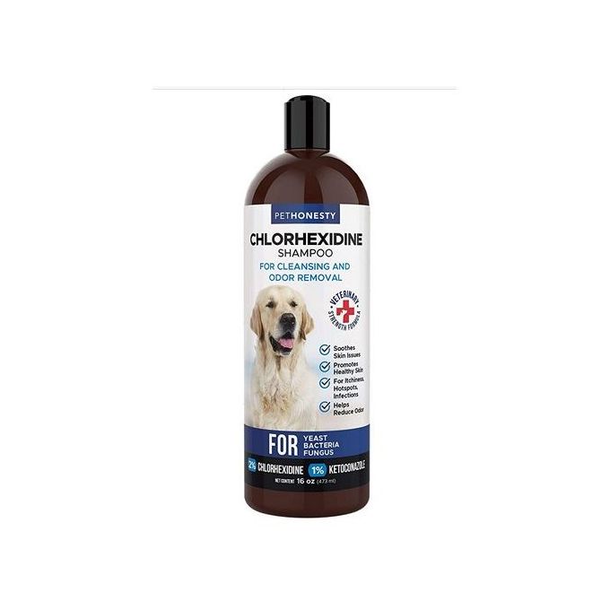 can you use ketoconazole shampoo on dogs