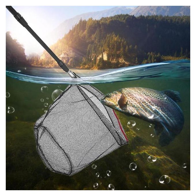 Generic Fishing Net Portable Triangle Fish Nets With Telescoping