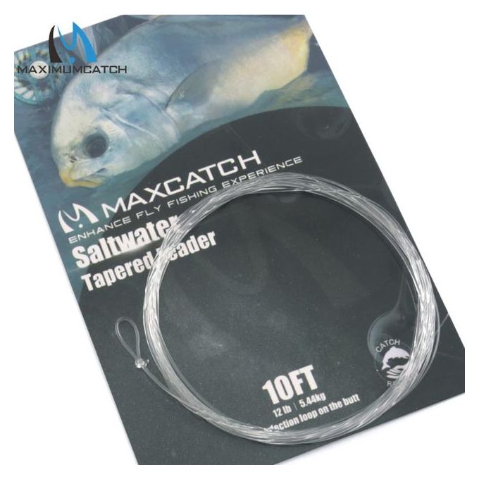 Generic Maximumcatch 6pc Saltwater Tapered Leader Fly Fishing Line 10ft  10-30lb Leader Line With Loops Clear Color Fishing Cord