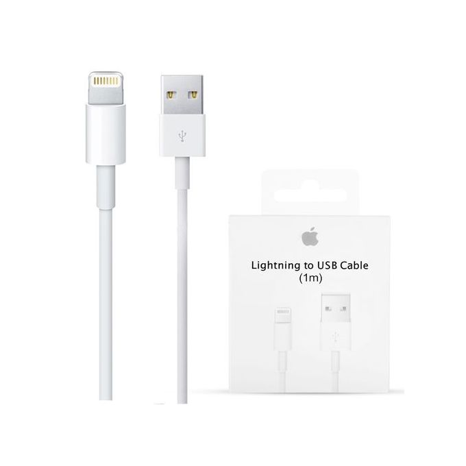 Apple Lightning to USB Cable 1M