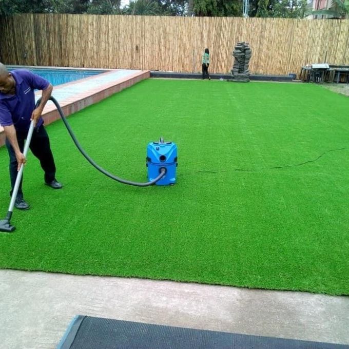 15 best Carpet Grass in Nigeria and their prices 