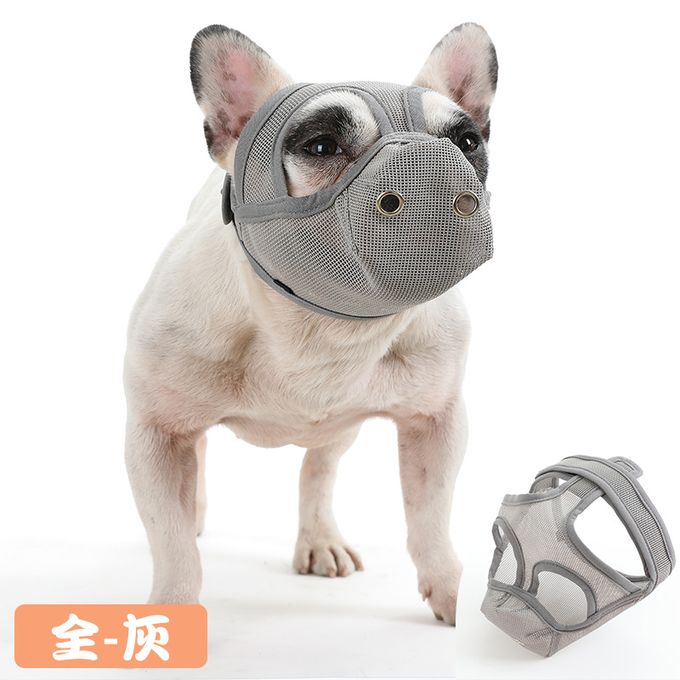 how to muzzle a french bulldog